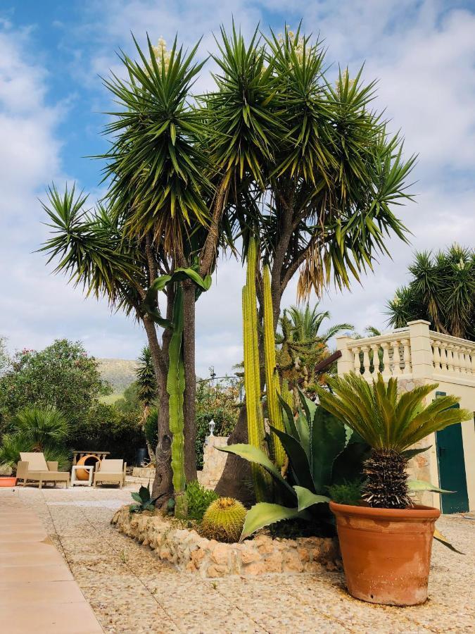 Finca Randa, Llucmayor, Bis 3 Sz, Pool, Garten Llucmajor  Buitenkant foto