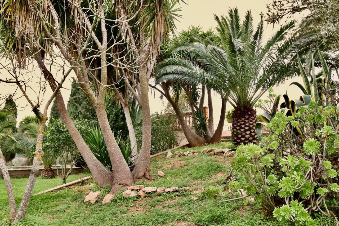 Finca Randa, Llucmayor, Bis 3 Sz, Pool, Garten Llucmajor  Buitenkant foto
