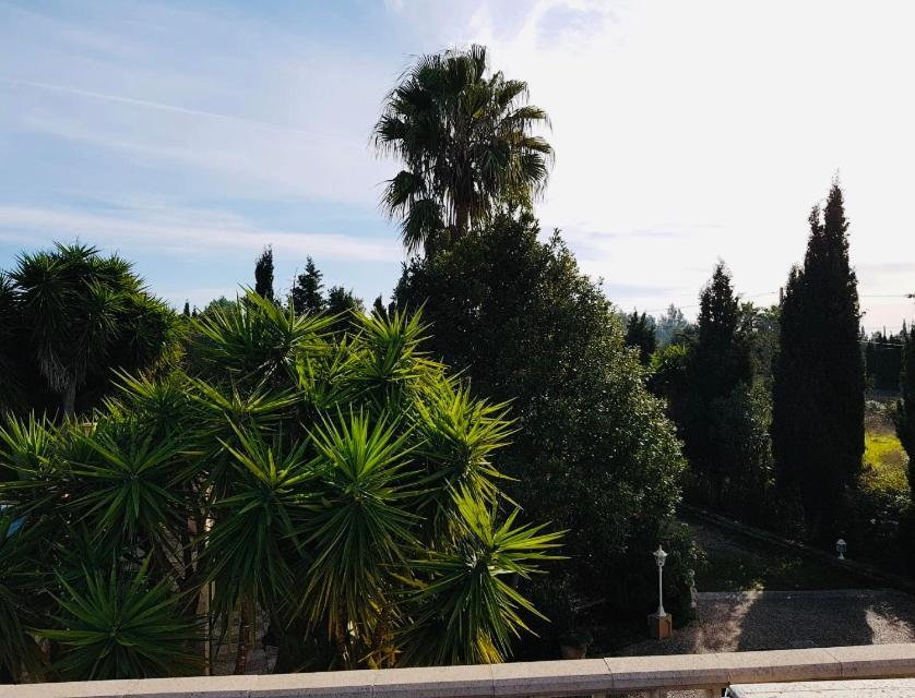 Finca Randa, Llucmayor, Bis 3 Sz, Pool, Garten Llucmajor  Buitenkant foto